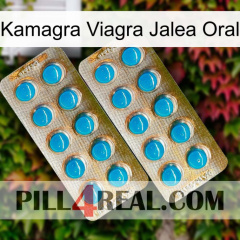 Kamagra Viagra Oral Jelly new08